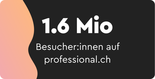 1.6 Mio Besucher:innen auf professional.ch